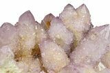 Spectacular Cactus Amethyst Crystal Cluster - South Africa #301878-2